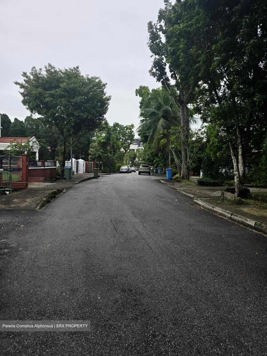 Arcadia Road (D11), Semi-Detached #575625751